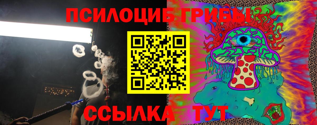 Псилоцибиновые грибы Psilocybe  Вход с VPN  Каменск-Шахтинский 